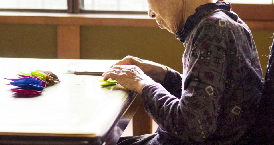 複数の硬化症の分類